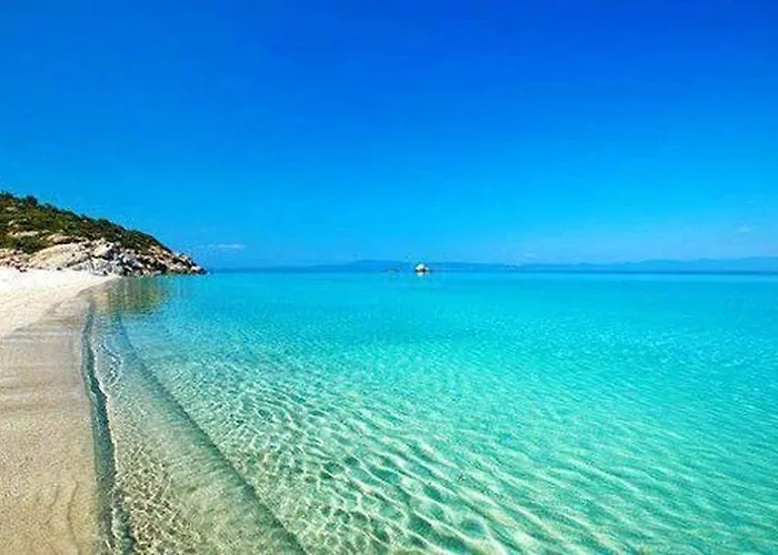 Paradise *