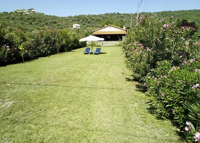 Paradise Daire *